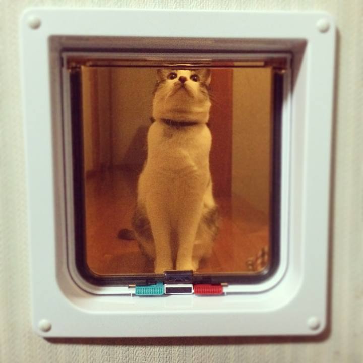 0e0a3ecb ea90 47da 9fda 1bcdb870ca10