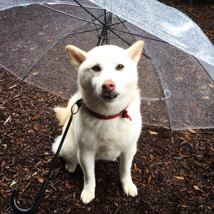 0e0a6e25 b67c 4346 9f55 05db7e113a30