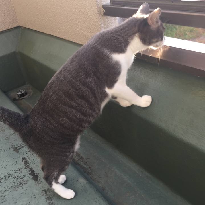 0e0a921b ba30 4921 bef8 872429c91789