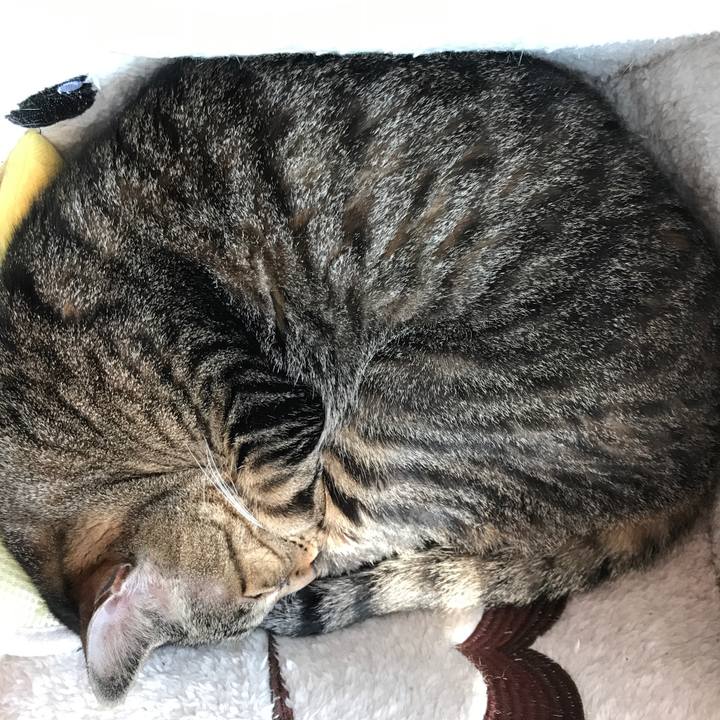 0e0ad5b5 d2f6 435d b531 11258e6641b2