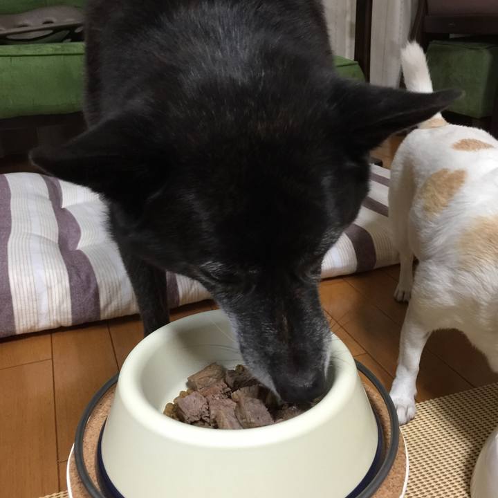 0e0ae246 520a 4a28 aa18 d7e40475906b