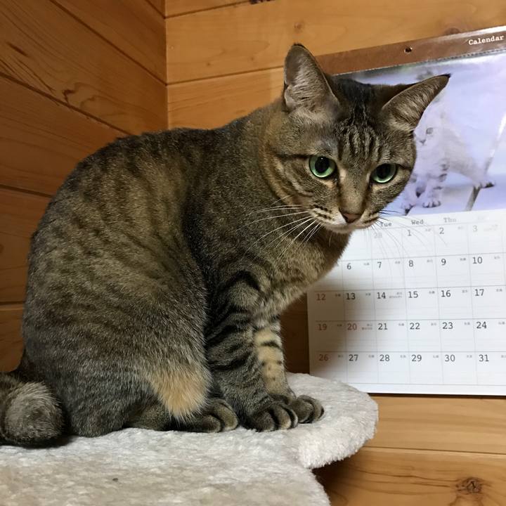 0e0ccde3 950e 4e61 a03d 26f192804c00