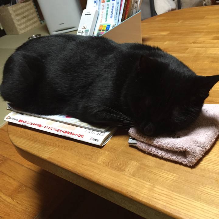 0e0d2194 aff0 4c26 b50c a1a91a45e3f0