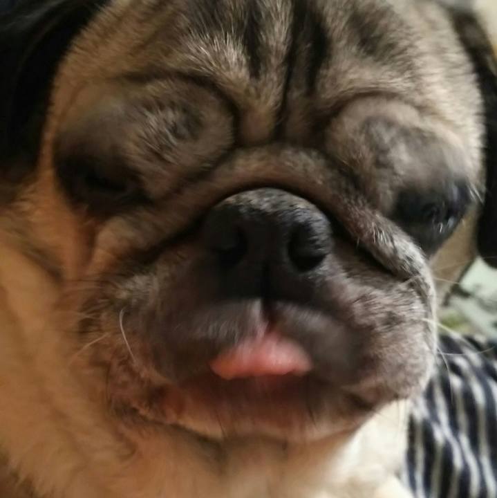 0e0d2939 dedf 4be6 b19d 84dfc923e8b8