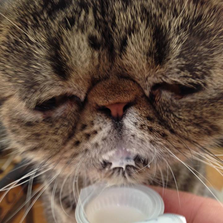 0e0dba09 6818 4843 9b8a d5653ba21937