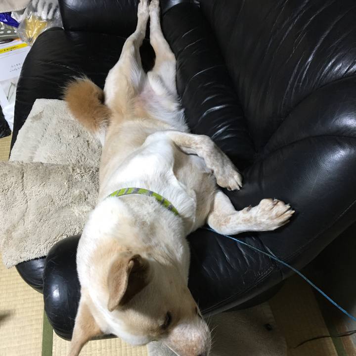 0e0dc483 b863 4c04 85d9 757f80f5f1b4