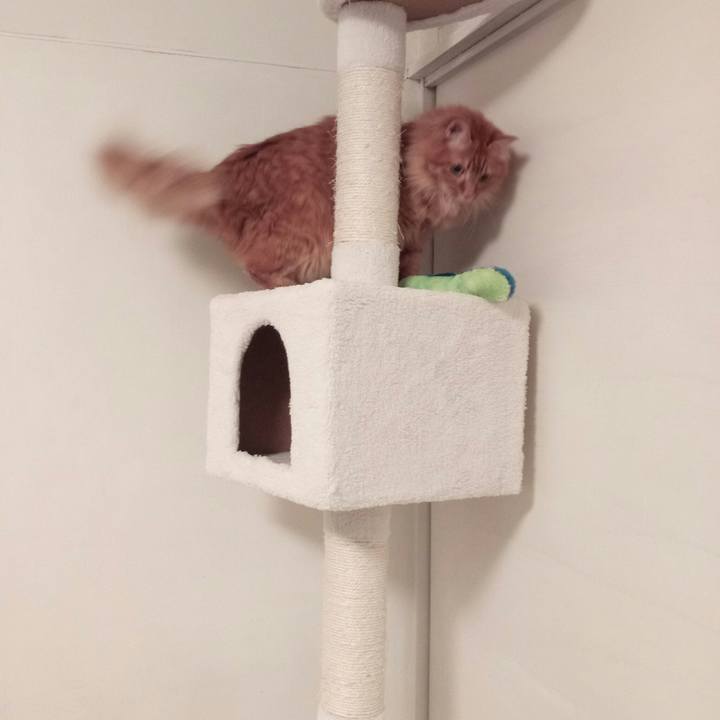 0e0e08c5 c3b7 4188 8846 53188188aaa1