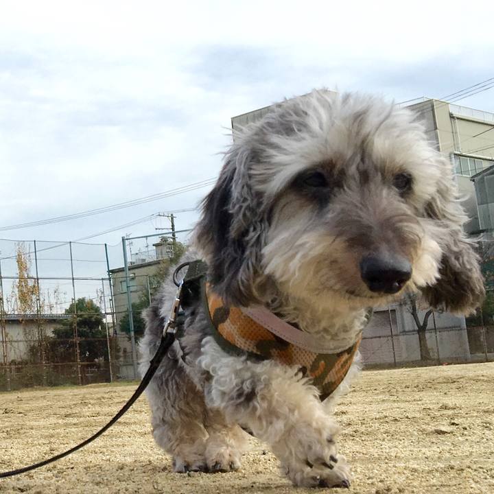 0e0ea824 6475 41b4 abd2 b80c8ec346fe