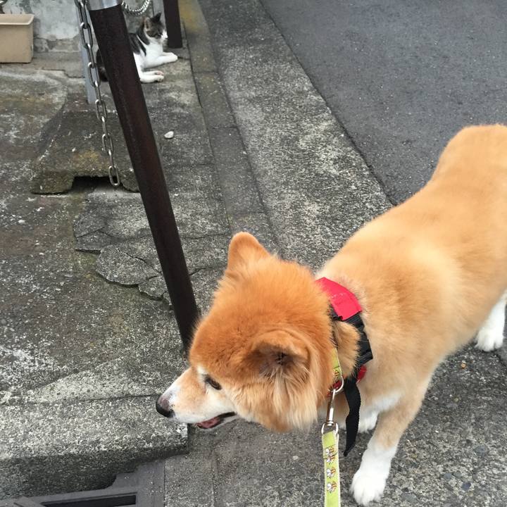 0e0eb595 fe37 4c64 8b6f 08c35552990d