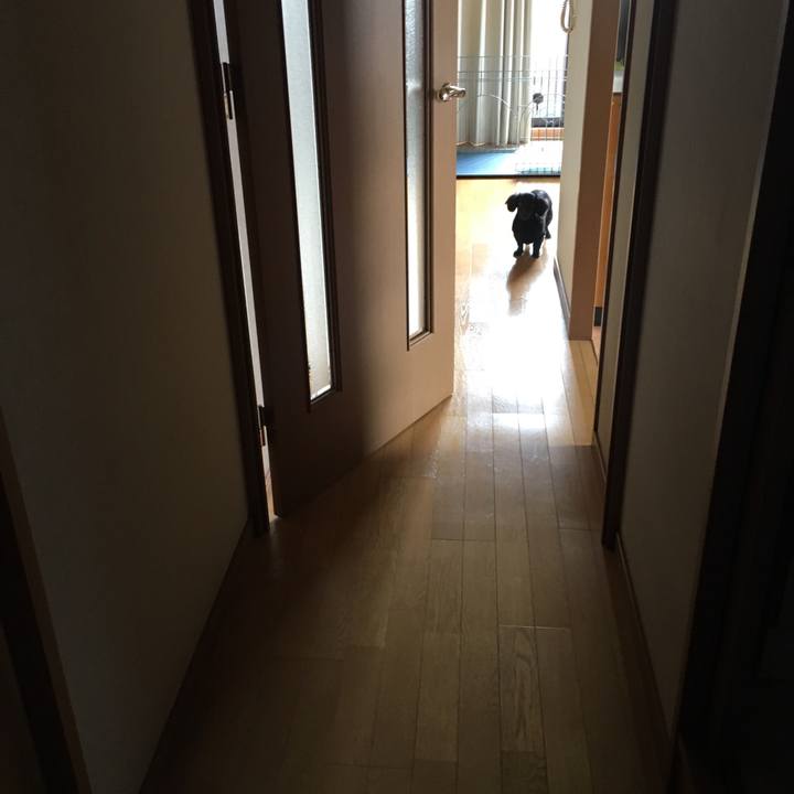 0e0f1cf5 3590 4b1c 92cb 84c91eaf7f51