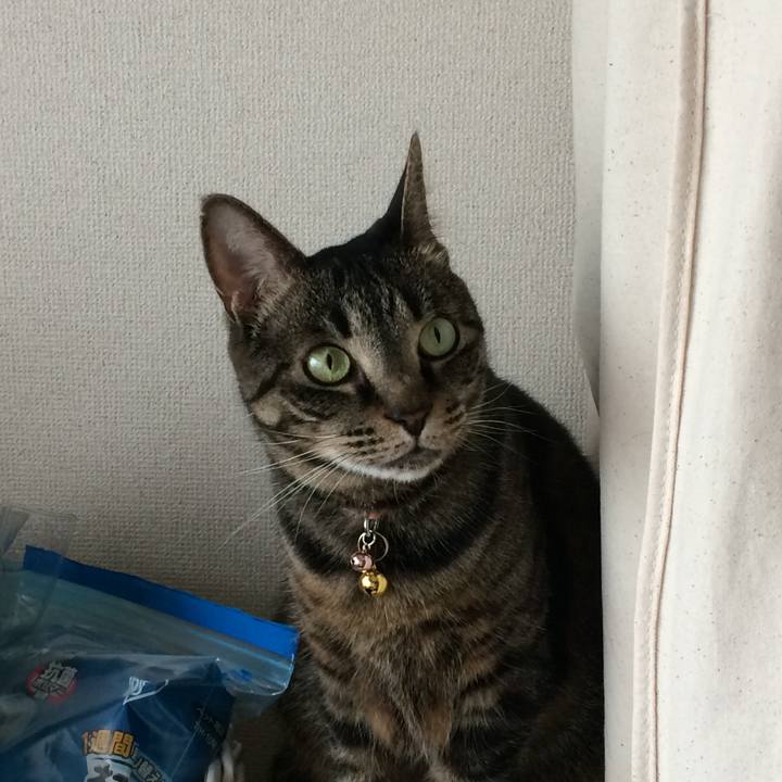 0e0f77b2 e119 49a0 8043 81fc8170dc32