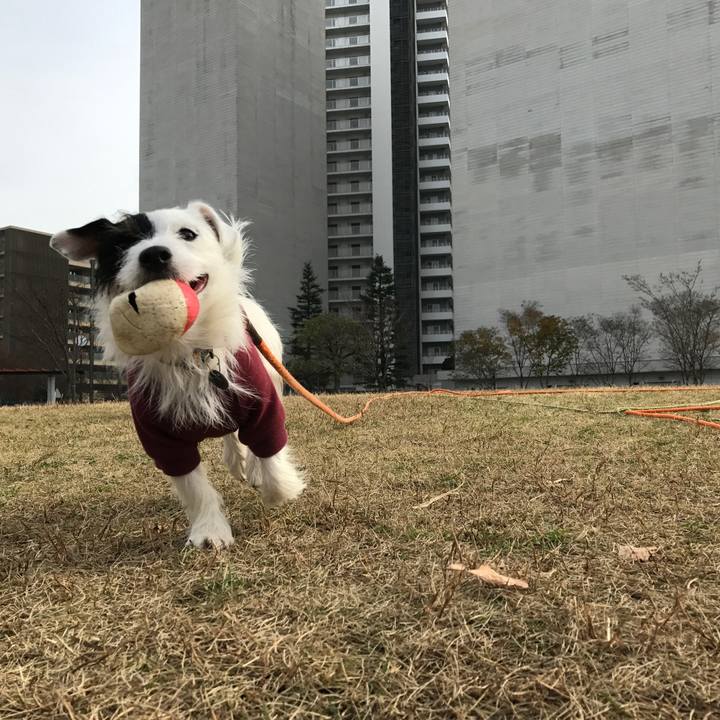 0e1042ab dc5e 4644 b90b a229278a57df