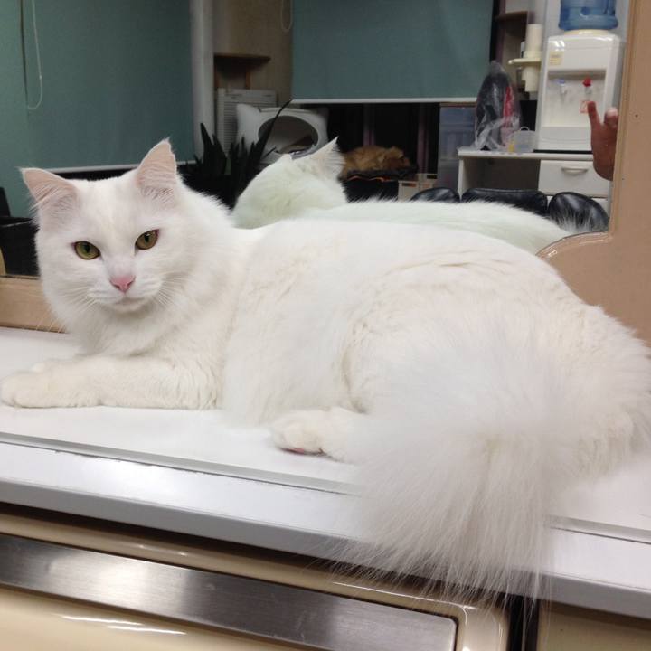 0e112b18 f1f4 4c6c afa6 246e4ac10b42