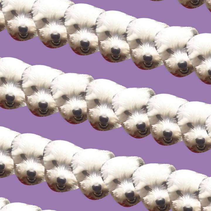 0e11a6ee 29be 497b ac70 2bbf8704dc3c