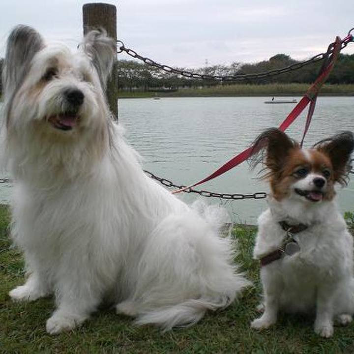 0e12849a d45a 40fc a817 7180ee3365f4