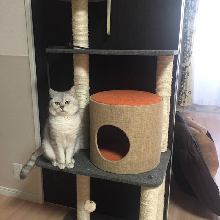 0e129949 e8fb 49d7 9ece fe9b692c80fc