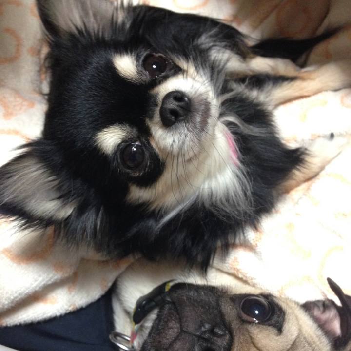 0e129f35 912c 4e25 8d6e 1cf3dce1724f