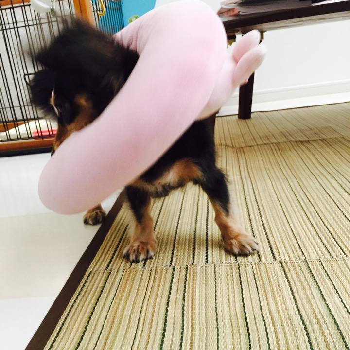 0e144cc7 1dda 4204 ad16 cbb31d0de4e4