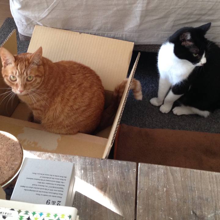 0e1467d1 fc18 41ce a46b 45f498346fa3