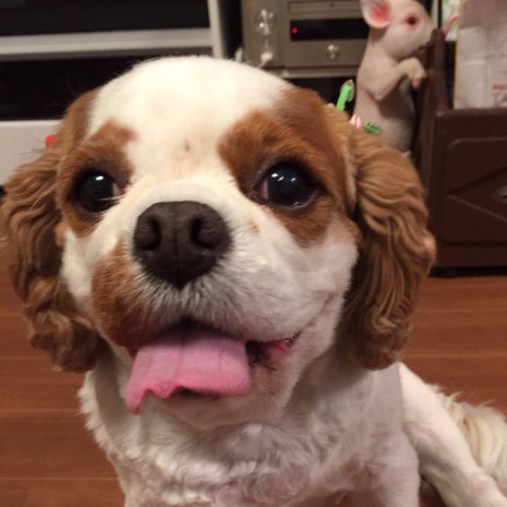 0e14748f e970 4296 b757 a25f953570d0