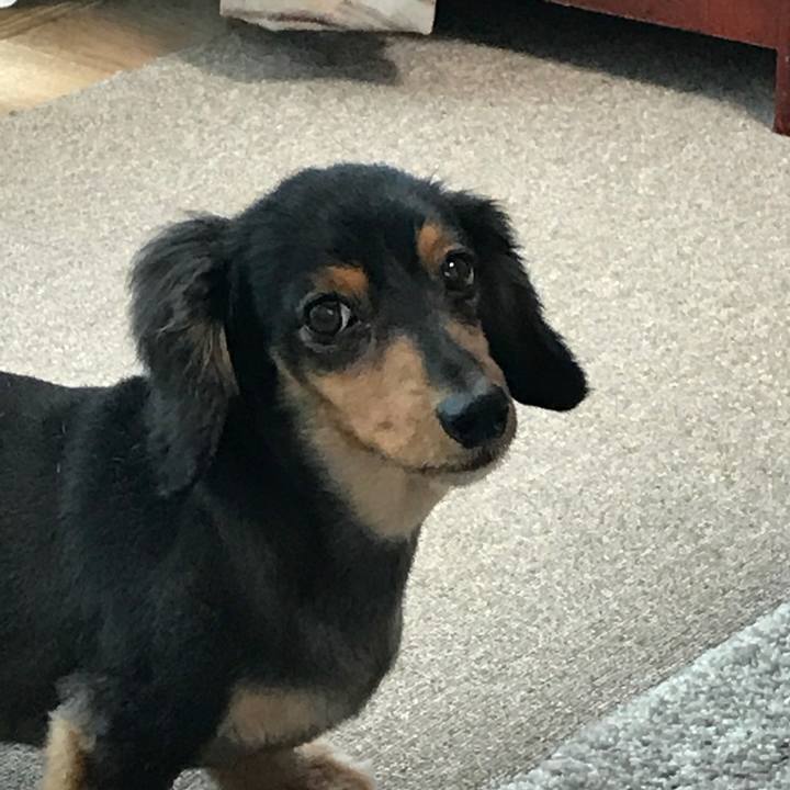 0e155d9d 3286 4b2d 9f60 63ada61b576d