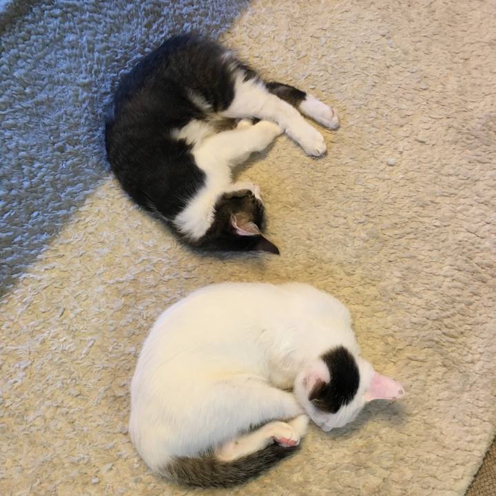 0e15b531 2fc2 4991 9efb e01f34c1c479