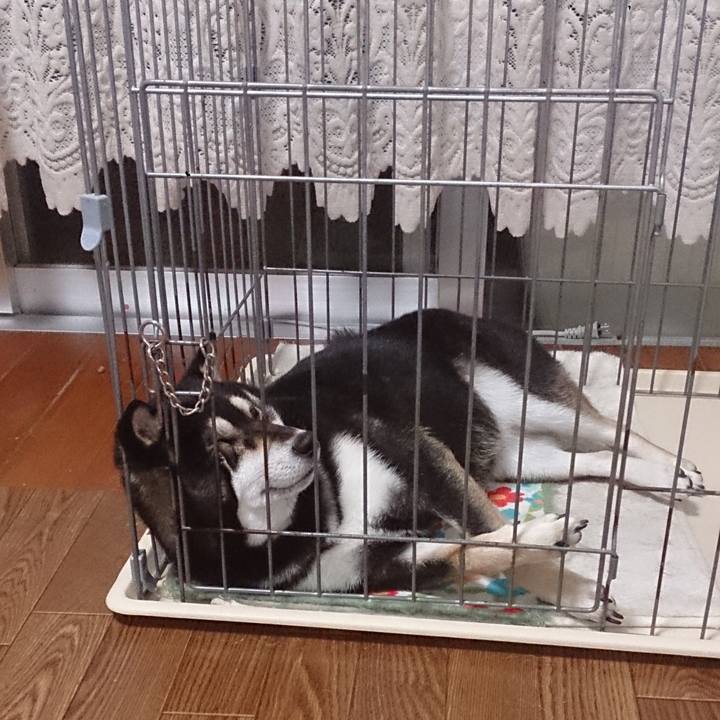 0e16653a c70e 469b 8a2c 120e427b3689