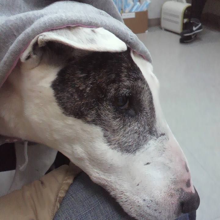 0e166a8f 7e4d 4d6c 9abc 749253537343