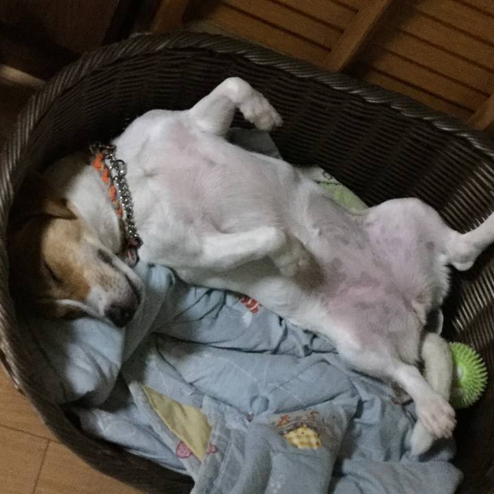 0e169103 c02c 47cb 9e4c 766a3752a40e