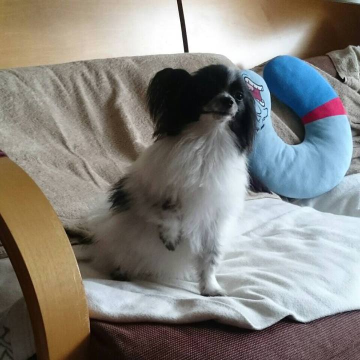 0e16b28d b4a3 4007 a92b 0cd9aac24328