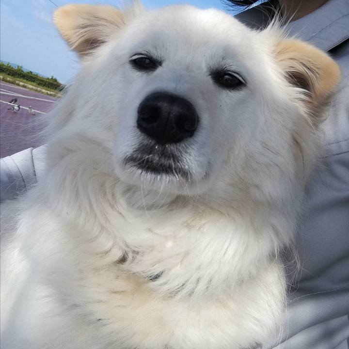 0e16be94 f63f 4c75 ae81 c0ef4b5b3290