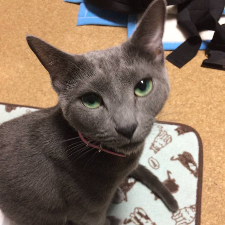 0e170d67 e5a9 4ac1 9e54 615db274e3ad