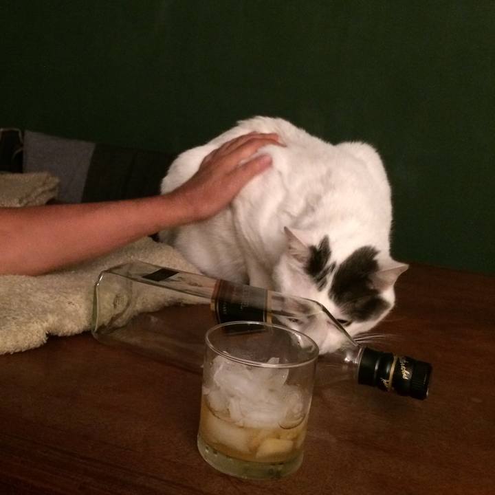 0e171c2b 18b9 43ec aa70 16344903f094