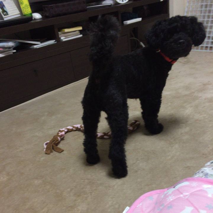 0e172904 0176 4e21 9a80 270cfb393262