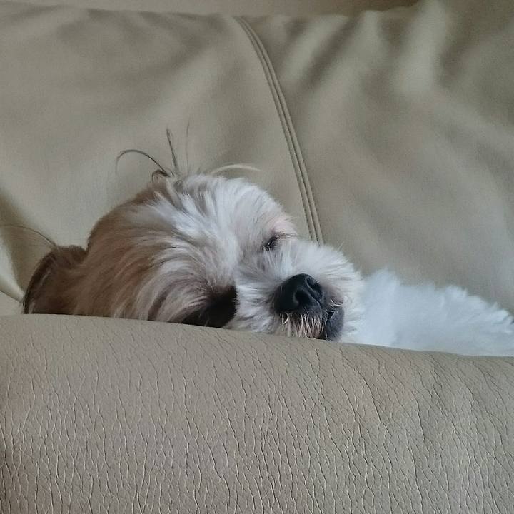 0e17a2aa 43ce 49e6 b3ca a8eca1f71f4c