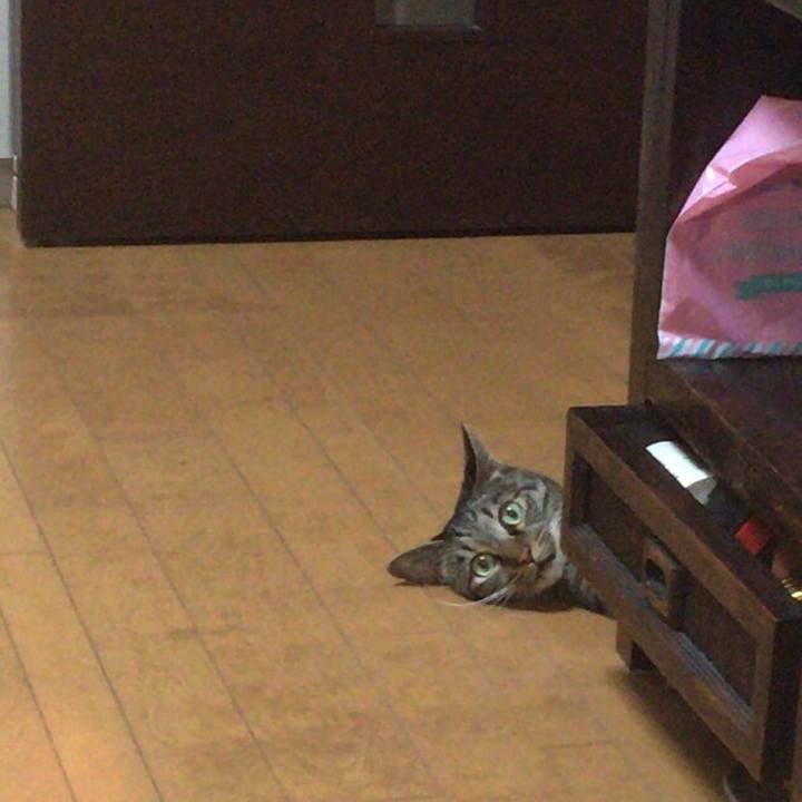 0e17a46b 852f 4afe b8d4 c7e2fc83b17b