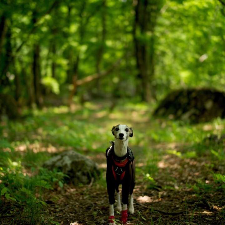 0e180afd 21f2 4db1 896f 11b8a49f40b6