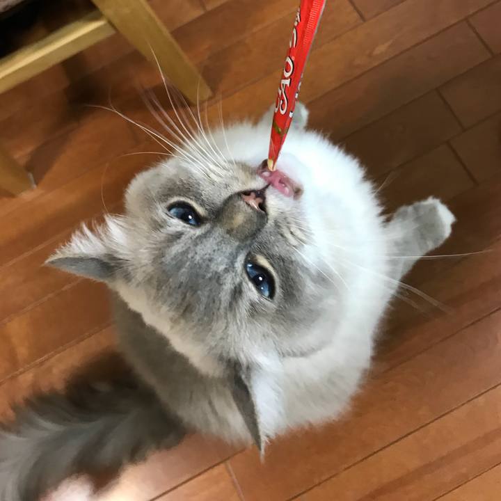 0e181a63 042d 4aca af61 e4ff24ff45a5