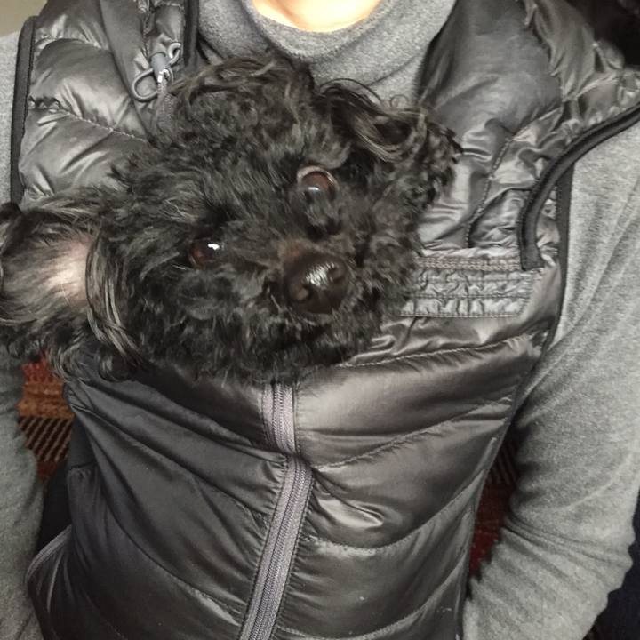 0e183b13 6165 4a59 a9e2 cea14a324056