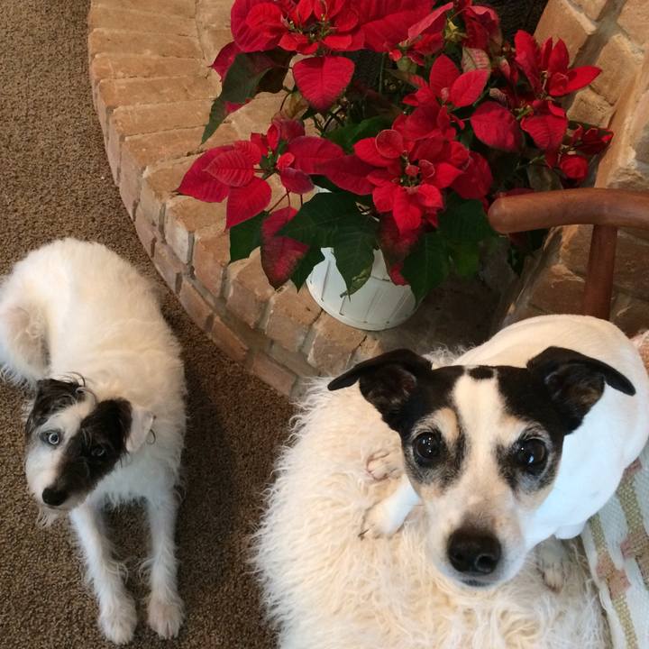 0e183b5a 9bfc 4dfc 81c4 1933acf288e6