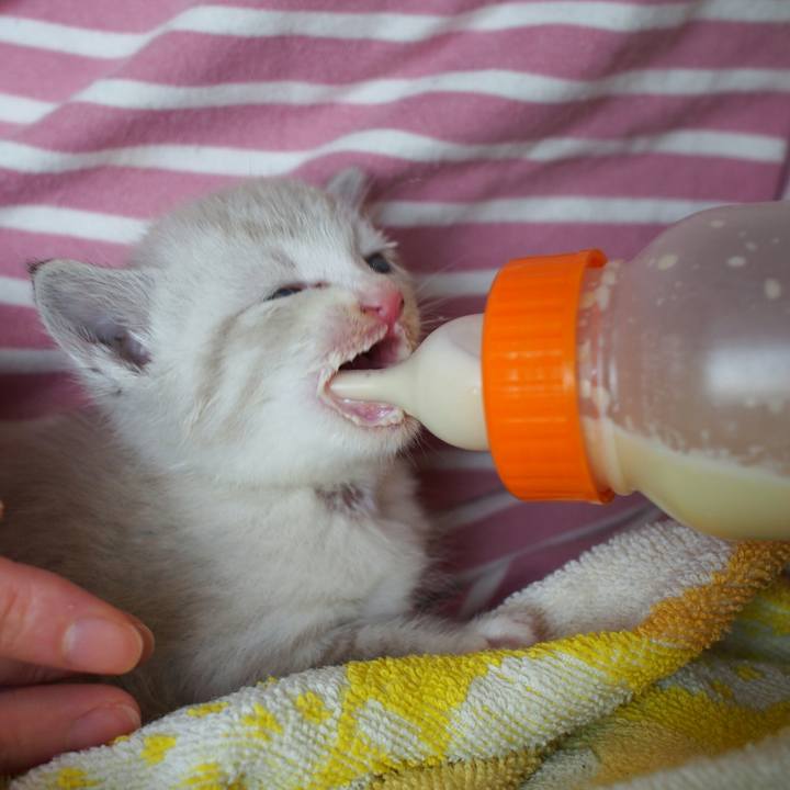 0e1861ba be4a 4a37 b9e9 953478dbabd2