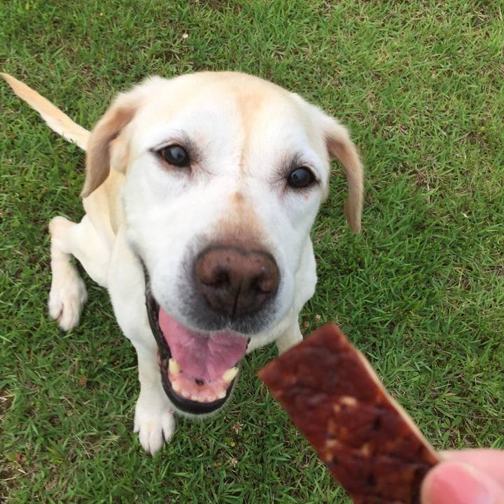 0e187fe5 c979 4fb5 8dc6 7268a9225440