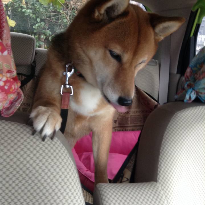 0e191b5e ba4d 4154 af68 42120acb78b2