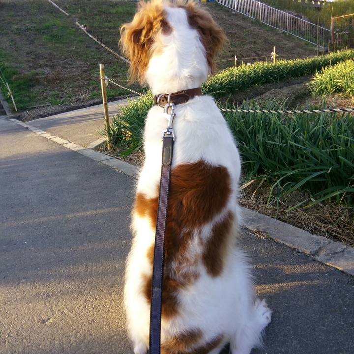 0e192df3 4f8f 4ada a74c f95dbde38277