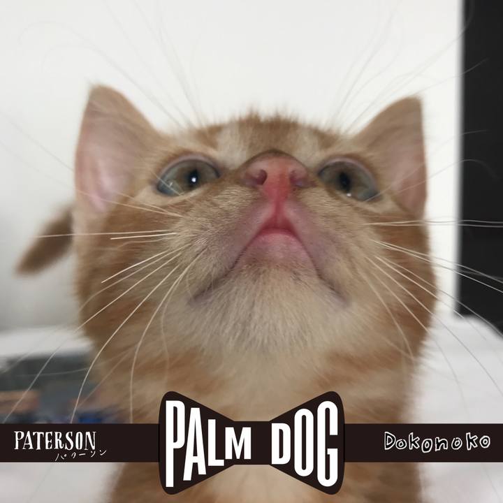 0e1951f7 5b3c 4269 9c4e 5ab5de5d867d