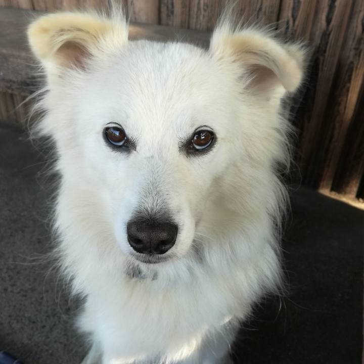 0e1a2321 3b1d 491f 82a0 ea84f9e70cdd