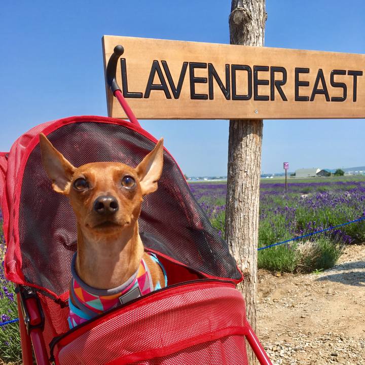 0e1a82e7 67b1 4054 bdf1 96278cafcc43