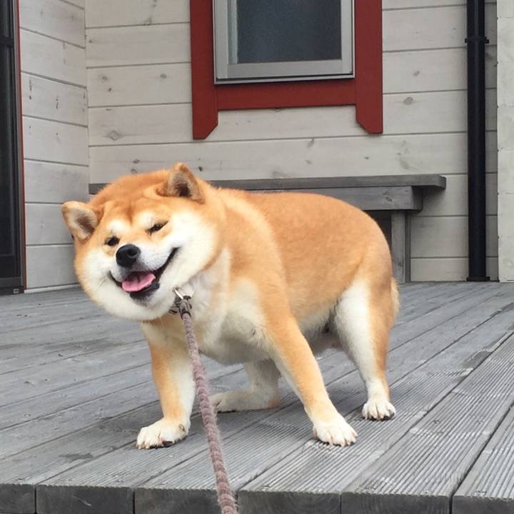 0e1aabe5 f44b 4549 a464 6589138cff07