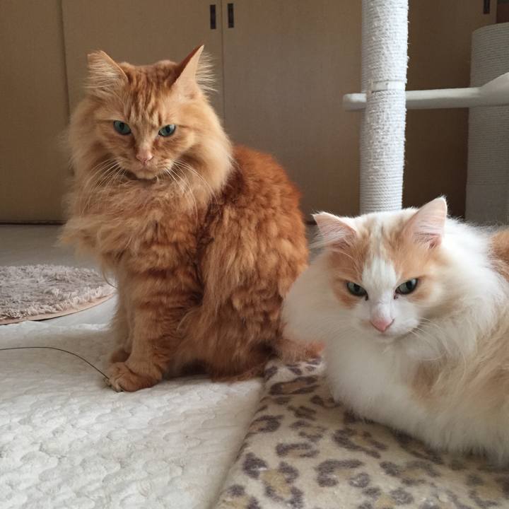 0e1b48aa 48ca 4bef a232 de96348e9d47