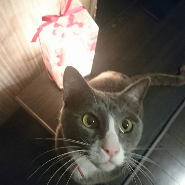 0e1b7a45 8d38 4952 964a a329f6097532